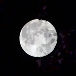 Full Moon Collage